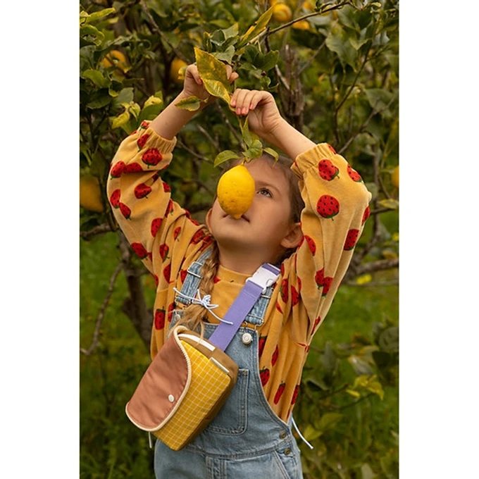 Sticky Lemon Fanny Pack Small Farmhouse Envelope Harvest Moon 4 Sticky Lemon Fanny Pack Small Farmhouse Envelope Harvest Moon - Afbeelding 2